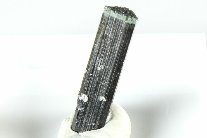 Gemmy Indicolite Tourmaline - Chia Mine, Brazil #379864